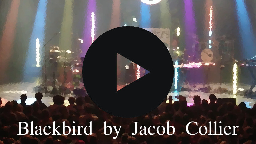 Bruxelles Jacob Collier Blackbird Performance